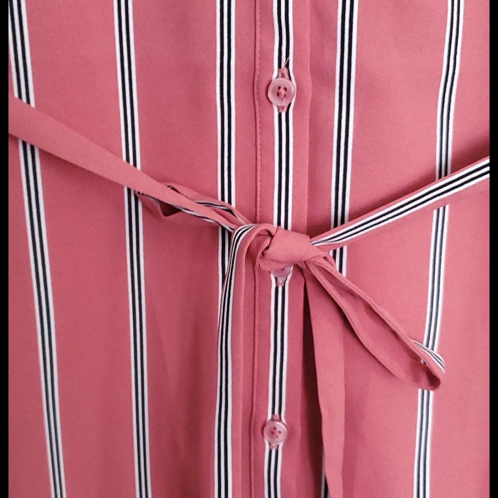 Express Button Down Shirt Dress - Picture 3 of 10